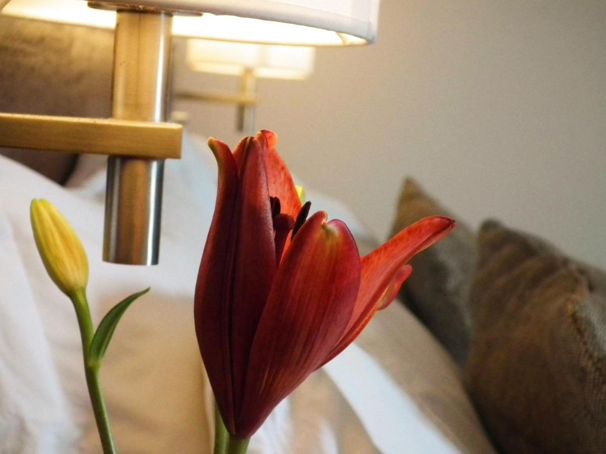 Hotel K 바히아 잉글레사 외부 사진